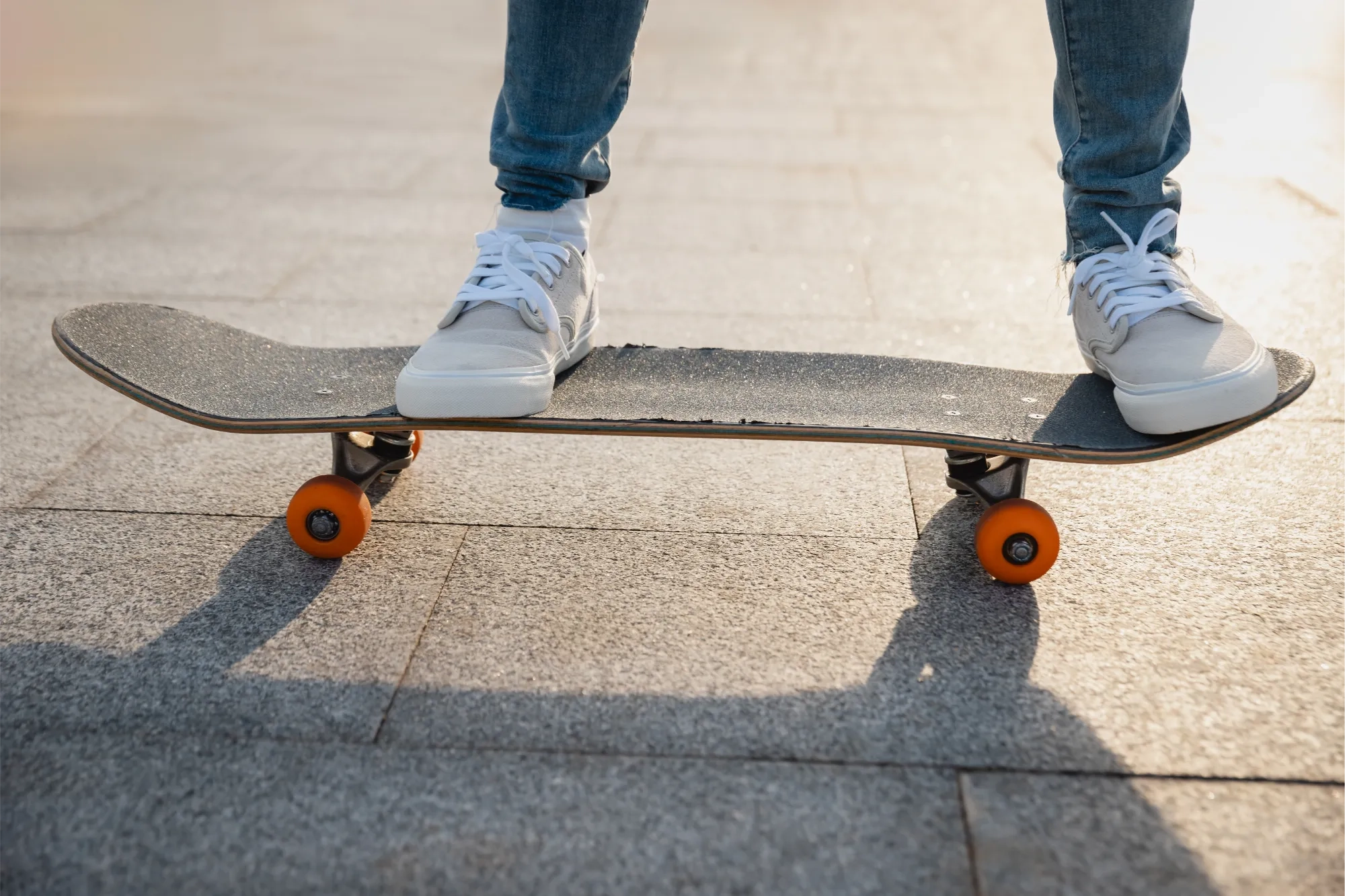 shutterstock_2451849977